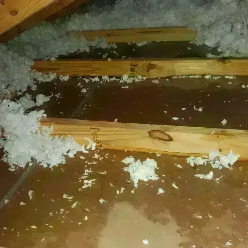 Attic Water Damage in Island Park, NY